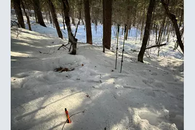 M7L31 Nelson Ridge Road N, Washington, ME 04574 - Photo 20