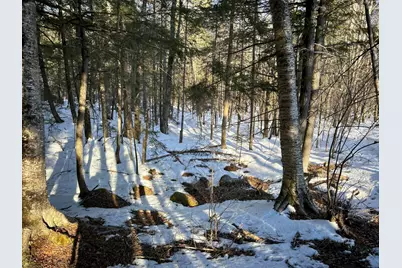 M7L31 Nelson Ridge Road N, Washington, ME 04574 - Photo 4