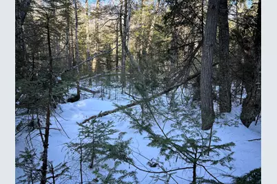 M7L31 Nelson Ridge Road N, Washington, ME 04574 - Photo 6