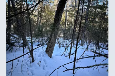 M7L31 Nelson Ridge Road N, Washington, ME 04574 - Photo 18