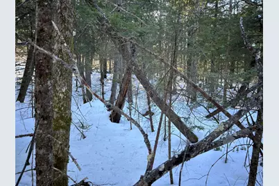 M7L31 Nelson Ridge Road N, Washington, ME 04574 - Photo 14