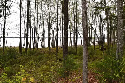 106 Shady Lane, Newport, ME 04953 - Photo 10