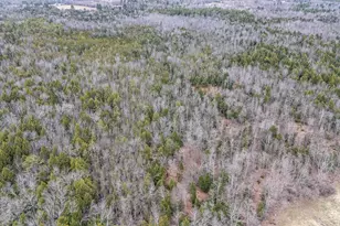 191 Wyman Rd, Palmyra, ME 04965 - Photo 84
