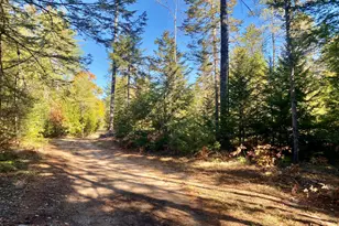 289 Pratt Rd, Parsonsfield, ME 04047 - Photo 8