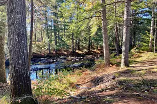 289 Pratt Rd, Parsonsfield, ME 04047 - Photo 50