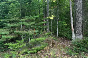 M4L46-1 Church St, Brownville, ME 04414 - Photo 1