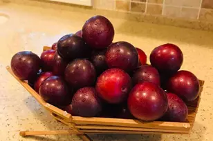 784 Essex St, Bangor, ME 04401 - Photo 46