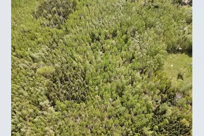 Tbd Chemo Pond Road, Eddington, ME 04428 - Photo 16