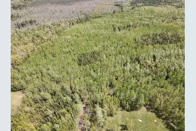 Tbd Chemo Pond Road, Eddington, ME 04428 - Photo 12