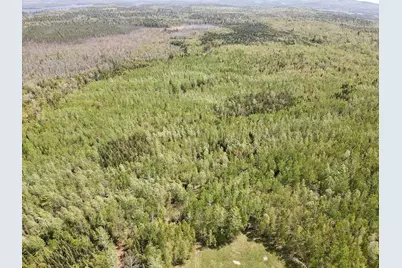 Tbd Chemo Pond Road, Eddington, ME 04428 - Photo 10