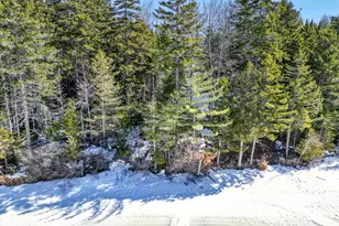 61 Sawyer Pond Highlands, Greenville, ME 04441 - Photo 8