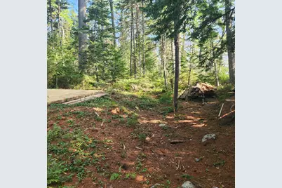 735 Mountain Road, Seboeis Plantation, ME 04448 - Photo 8