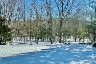 482 Ossipee Trail, Limington, ME 04049 - Photo 40