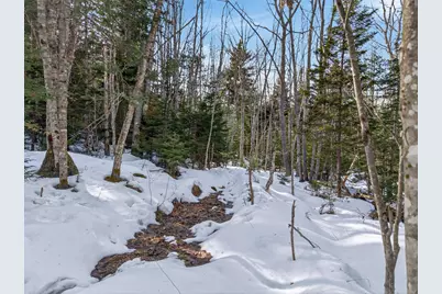 0 Sebasco Road, Phippsburg, ME 04562 - Photo 8