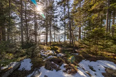 251 Ripley Neck Road, Harrington, ME 04643 - Photo 8