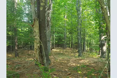 594 River Road Road, Windham, ME 04062 - Photo 14
