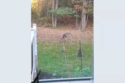 35 Deerfield Drive, Brunswick, ME 04011 - Photo 114