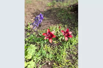 35 Deerfield Drive, Brunswick, ME 04011 - Photo 70