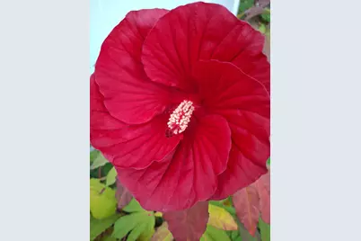 35 Deerfield Drive, Brunswick, ME 04011 - Photo 64