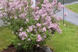 35 Deerfield Dr, Brunswick, ME 04011 - Photo 48