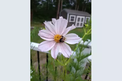 35 Deerfield Drive, Brunswick, ME 04011 - Photo 60