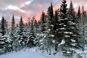 170 Partridge Cove Rd, Lamoine, ME 04605 - Photo 42