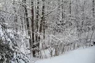 5 Morrison Rd, Bristol, ME 04564 - Photo 40