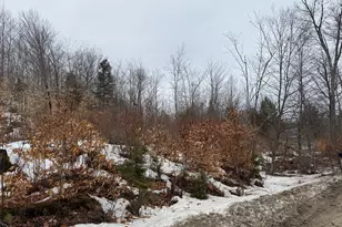 [Address not provided], Buckfield, ME 04220 - Photo 1