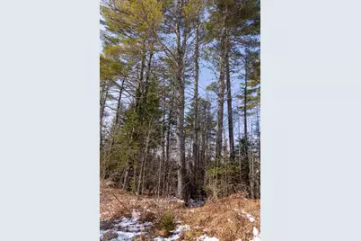 M4L38&39 West Old Main Road, Lowell, ME 04493 - Photo 6