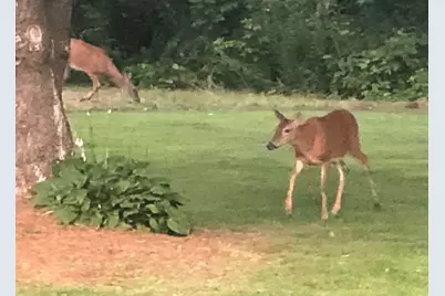 79 S Pleasant Street, Bowdoinham, ME 04008 - Photo 28