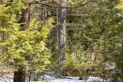 R7L14A Route 157 Route, Mattawamkeag, ME 04459 - Photo 4