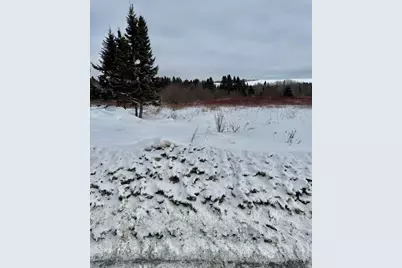 314 Flat Mountain Road, Saint Agatha, ME 04772 - Photo 8