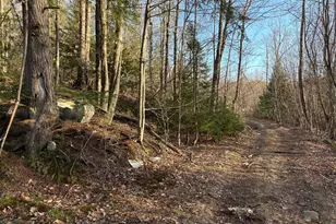 010 Mountain View Annex, Rumford, ME 04276 - Photo 1