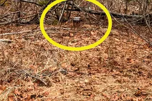 345 Court St, Machias, ME 04654 - Photo 50