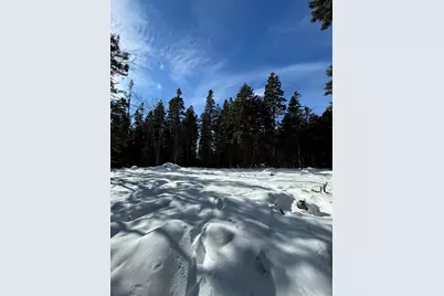 12 Jamestown Road, Vinalhaven, ME 04863 - Photo 6