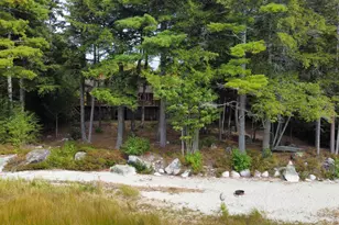 172 Alder Brook Ln, Waltham, ME 04605 - Photo 18