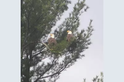 38 Main Street, Topsham, ME 04086 - Photo 54