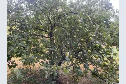 199 Elm Street, Mercer, ME 04957 - Photo 24