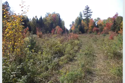 913 Skedgell Road, Cary, ME 04471 - Photo 4