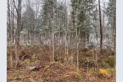 913 Skedgell Road, Cary, ME 04471 - Photo 20