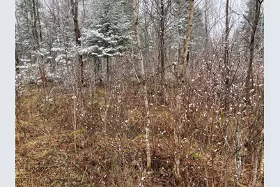 913 Skedgell Road, Cary, ME 04471 - Photo 18