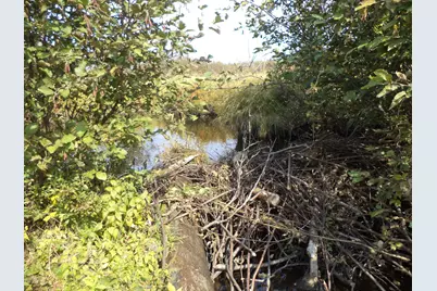 913 Skedgell Road, Cary, ME 04471 - Photo 8