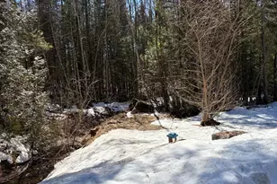 24 Conejo Ln, Buckfield, ME 04220 - Photo 46