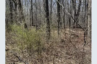 8 Williams Road, Vassalboro, ME 04989 - Photo 6