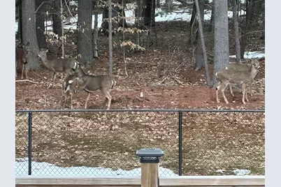 720 Parker Farm Road, Buxton, ME 04093 - Photo 42