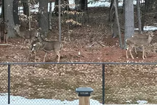 720 Parker Farm Rd, Buxton, ME 04093 - Photo 42