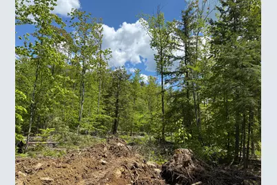 Lot 4 Brookhaven Road, Harrison, ME 04040 - Photo 6