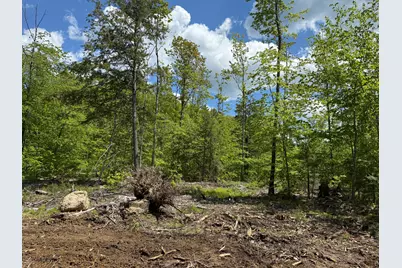 Lot 4 Brookhaven Road, Harrison, ME 04040 - Photo 4