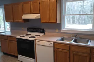 394 Transalpine Rd, Lincoln, ME 04457 - Photo 4
