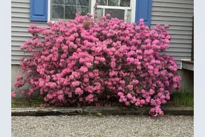 27 Oak Point Road, Harrington, ME 04643 - Photo 26